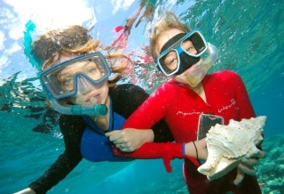 Visita guiada de snorkel